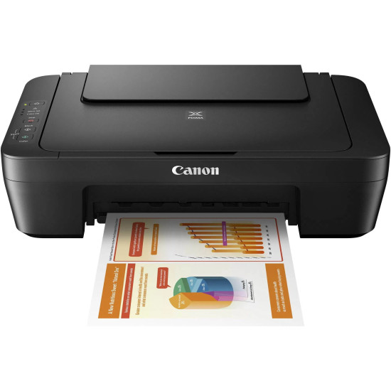 BFP Canon PIXMA MG2556S