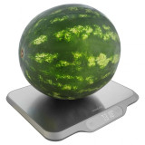 Ваги кухонні електронні Sencor SKS 7300